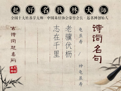 老驥伏櫪，志在千里 堅韌精神的時代回響