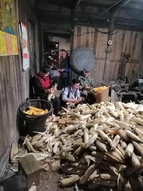 老驥伏櫪顯真情，戰疫扶貧一肩挑